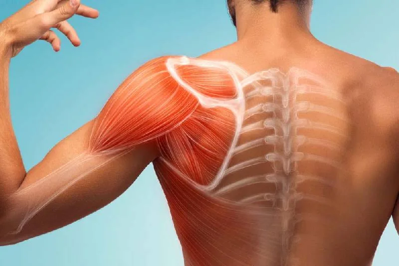Dr. Haytham Elkhatib - Best Orthopaedic Doctor in Dubai
